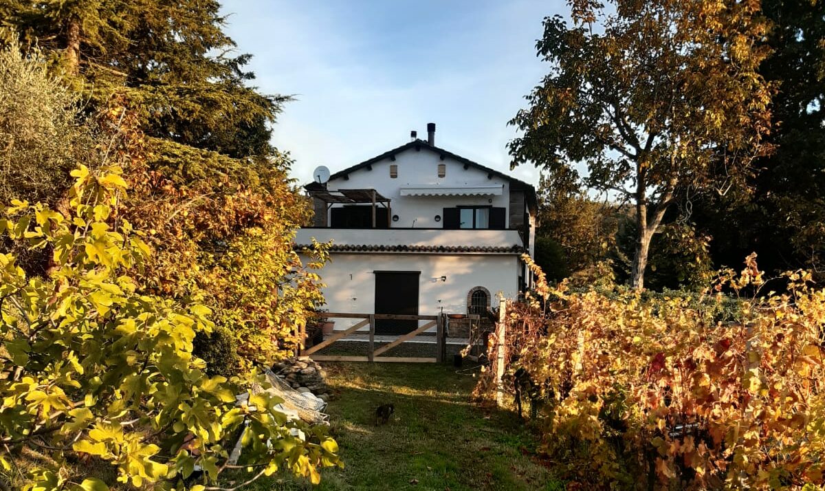 WhatsApp Image 2020-12-08 at 19.13.15